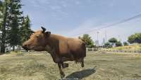Em GTA 5, você pode se transformar em uma vaca!