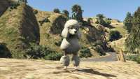 Em GTA 5, você pode se transformar em um poodle!