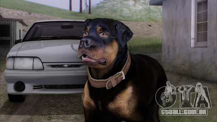 Rottweiler from GTA 5 para GTA San Andreas