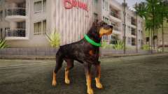 Rottweiler from GTA V para GTA San Andreas