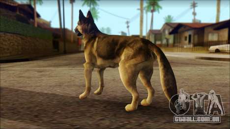 Dog Skin v2 para GTA San Andreas