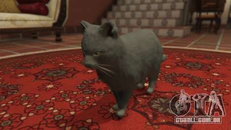 Gray House Cat para GTA 5