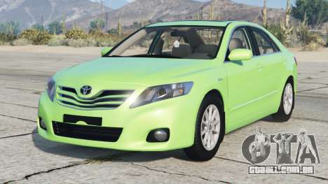 Toyota Camry (XV40) Pastel Green
