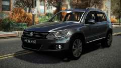 Volkswagen Tiguan Jaypo
