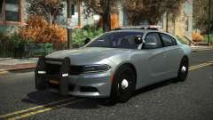 Dodge Charger GX6R