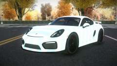 Porsche Cayman Riley S8 para GTA 4