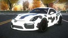 Porsche Cayman Riley S4 para GTA 4