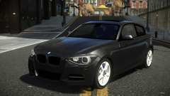 BMW 135i Ofip