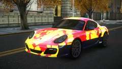 Porsche Cayman Soly S11
