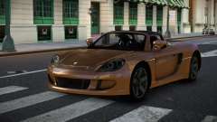 Porsche Carrera GT Hodove